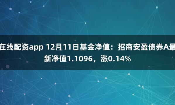 在线配资app 12月11日基金净值：招商安盈债券A最新净值1.1096，涨0.14%