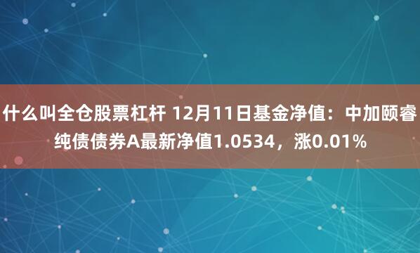 什么叫全仓股票杠杆 12月11日基金净值：中加颐睿纯债债券A最新净值1.0534，涨0.01%