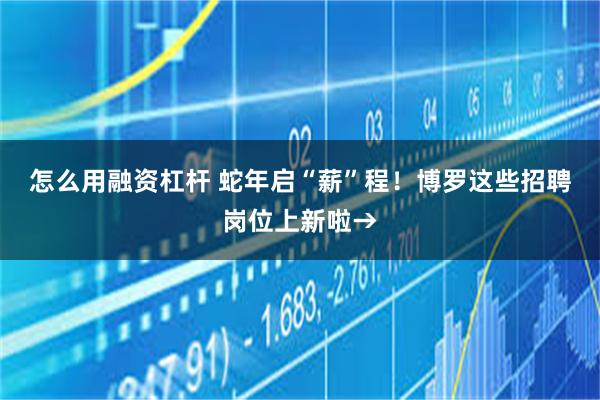 怎么用融资杠杆 蛇年启“薪”程！博罗这些招聘岗位上新啦→
