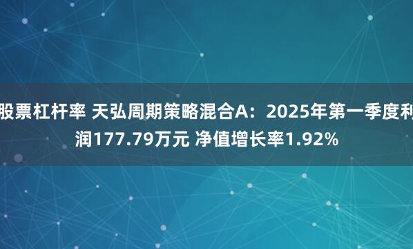 股票杠杆率 天弘周期策略混合A：2025年第一季度利润177.79万元 净值增长率1.92%