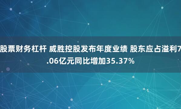 股票财务杠杆 威胜控股发布年度业绩 股东应占溢利7.06亿元同比增加35.37%