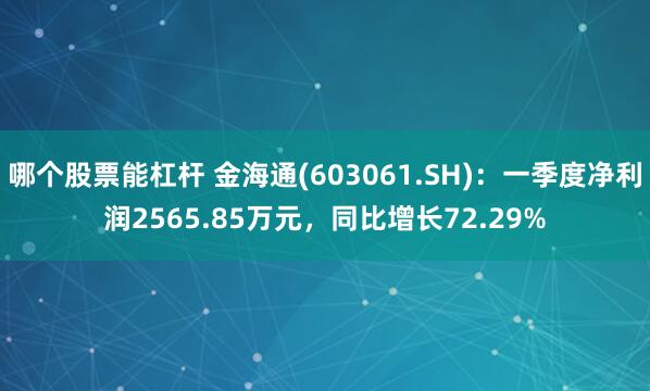 哪个股票能杠杆 金海通(603061.SH)：一季度净利润2565.85万元，同比增长72.29%