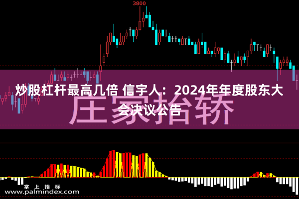 炒股杠杆最高几倍 信宇人：2024年年度股东大会决议公告