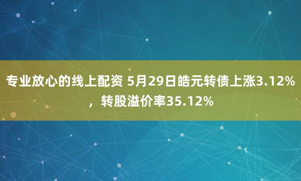 专业放心的线上配资 5月29日皓元转债上涨3.12%，转股溢价率35.12%