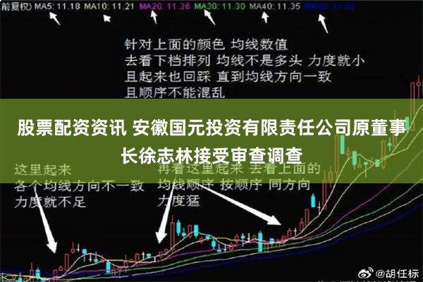 股票配资资讯 安徽国元投资有限责任公司原董事长徐志林接受审查调查