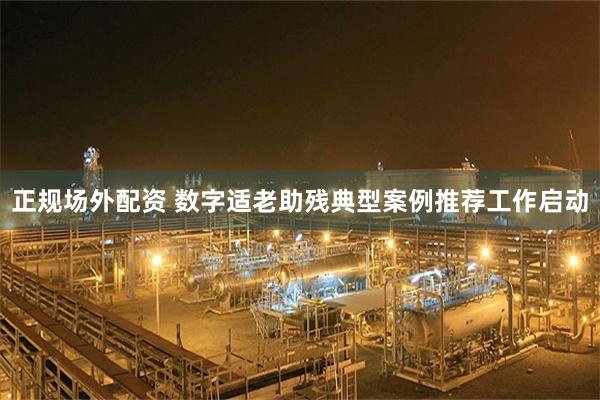正规场外配资 数字适老助残典型案例推荐工作启动