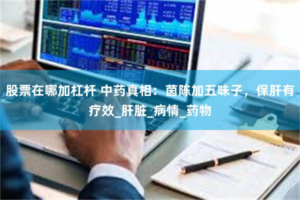 股票在哪加杠杆 中药真相：茵陈加五味子，保肝有疗效_肝脏_病情_药物