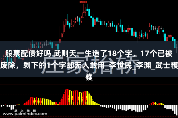 股票配债好吗 武则天一生造了18个字，17个已被废除，剩下的1个字却无人敢用_李世民_李渊_武士彟