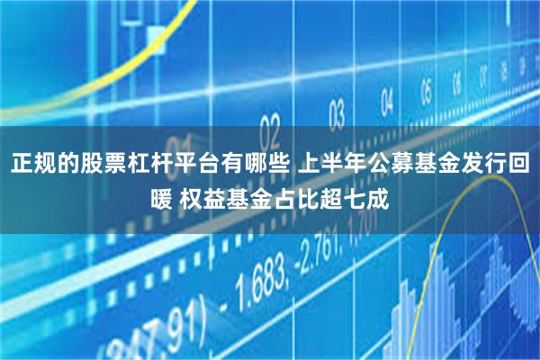 正规的股票杠杆平台有哪些 上半年公募基金发行回暖 权益基金占比超七成